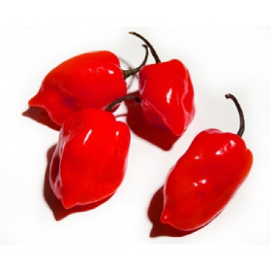 Καυτερή πιπεριά Χαμπανέρο Κόκκινη 20 Σπόροι