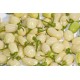 Λευκή Καυτερή Πιπεριά Χαμπανέρο (Habanero Chilli) 10 Σπόροι