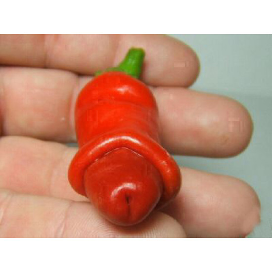 Πιπεριά "Peter Pepper" - Έτοιμο φυτό 15 εκ. Πιπεριά "Peter Pepper" - Έτοιμο φυτό 15 εκ.