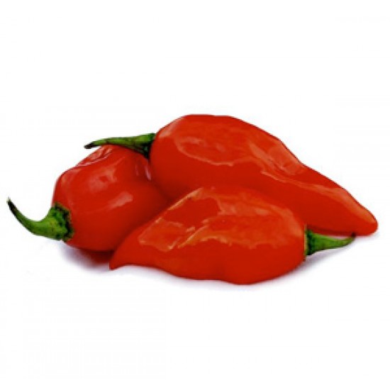 Πιπέρι Ινδικής καυτερής πιπεριάς Ghost Pepper (Bhut Jolokia) 10gr.
