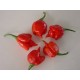 Trinidad Scorpion Καυτερή Πιπερία 7 σπόροι