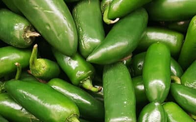 Πιπεριά Jalapeno! Η χρυσή τομή στις Καυτερές Πιπεριές! Προϊόντα, Καλλιέργεια και Χρήση