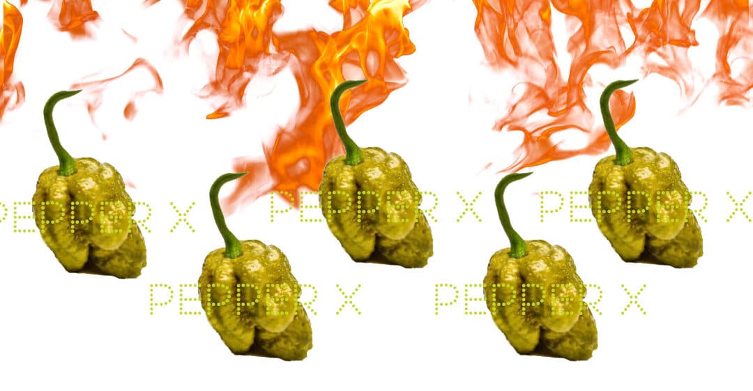 Η Pepper X εκθρόνισε την Carolina Reaper και επίσημα! 1η στα Ρεκόρ Γκίνες!