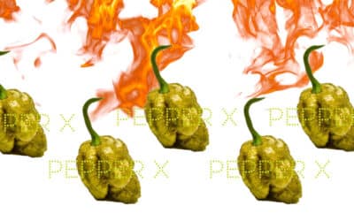 Η Pepper X εκθρόνισε την Carolina Reaper και επίσημα! 1η στα Ρεκόρ Γκίνες!