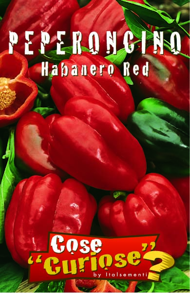 Kαυτερή Πιπεριά Ηabanero Κόκκινη - 0,80γρ. Σπόροι
