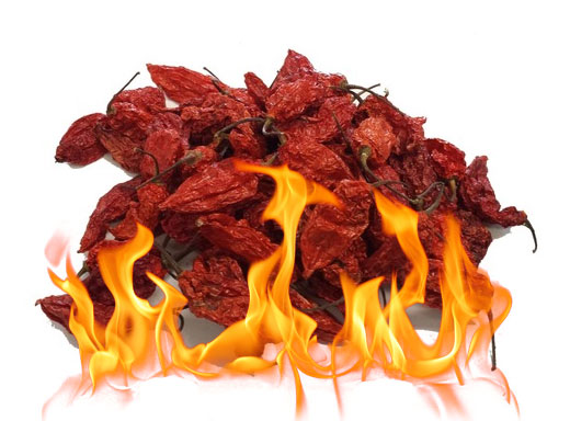 bhut jolokia Πιπεριές