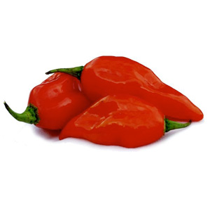 Πιπέρι Ινδικής καυτερής πιπεριάς Ghost Pepper (Bhut Jolokia) 10γρ. - Image 3