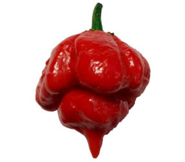 Trinidad Scorpion Καυτερή Πιπερία 7 σπόροι